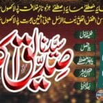 سیدنا ابوبکر صدیق رضی اللہ عنہ عشق و وفا کے لازوال نمونہ تھے۔