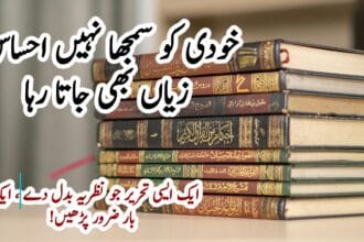 خودی کو سمجھا نہیں، احساس زیاں بھی جاتا رہا